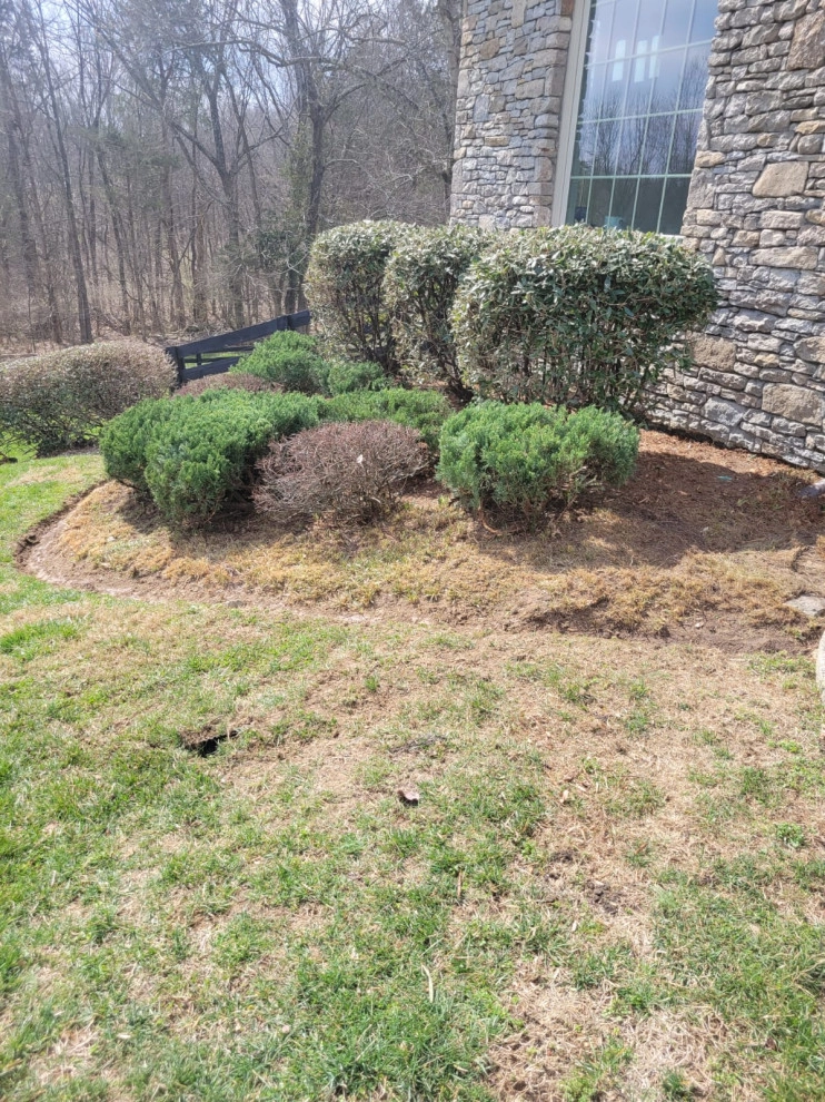 Alberto Alavez Professional Lawn Services LLC 10 by Alberto Alavez Professional Lawn Services LLC - Photo 18