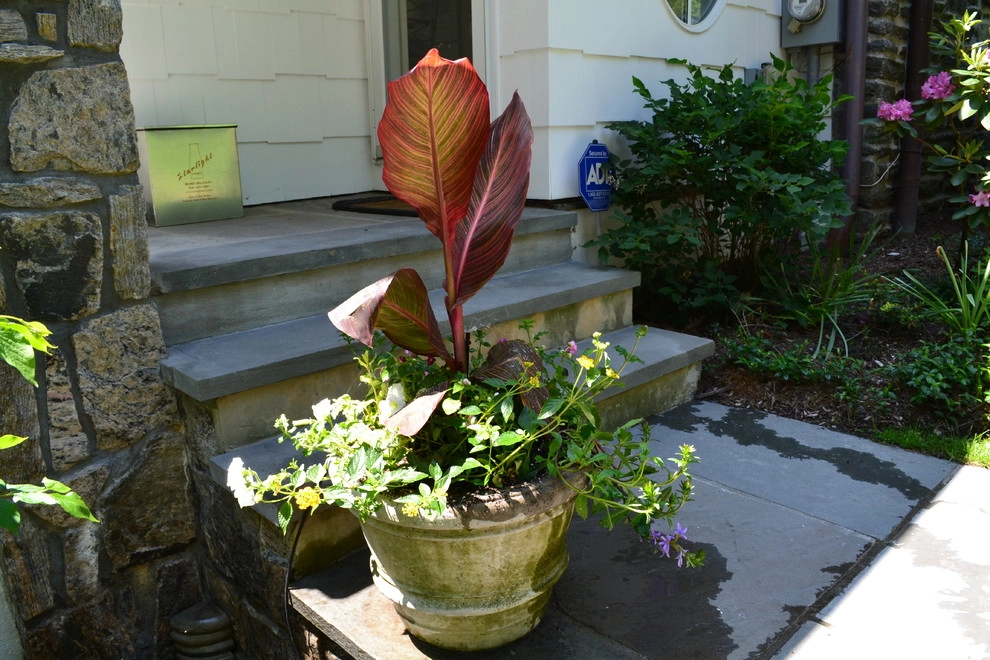 holiday decorating by Joseph Bulfamante And Son Landscape Design/Build - Photo 2