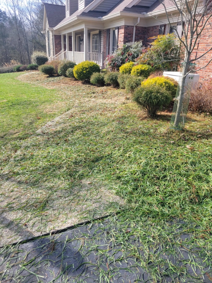 Alberto Alavez Professional Lawn Services LLC 10 by Alberto Alavez Professional Lawn Services LLC - Photo 23