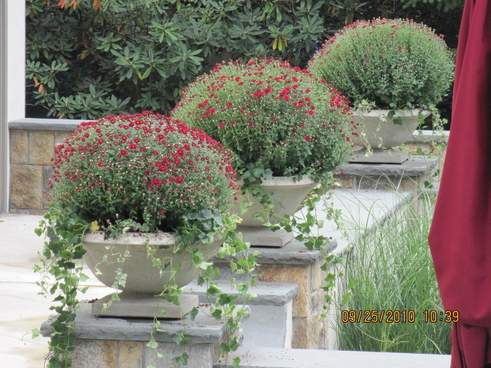 holiday decorating by Joseph Bulfamante And Son Landscape Design/Build - Photo 6