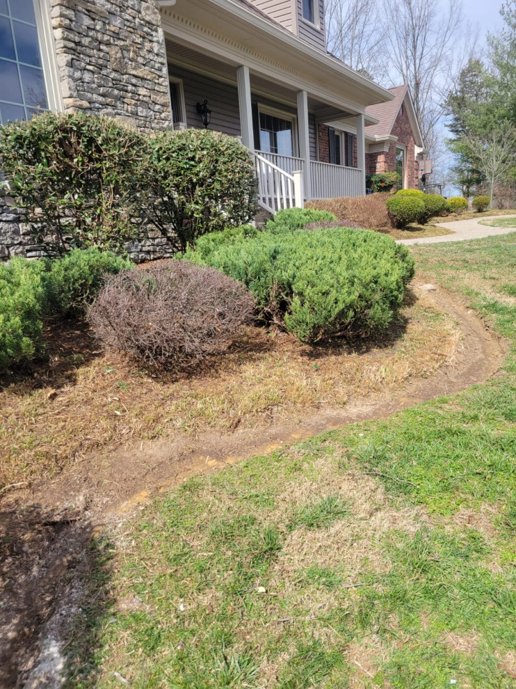 Alberto Alavez Professional Lawn Services LLC 10 by Alberto Alavez Professional Lawn Services LLC - Photo 19