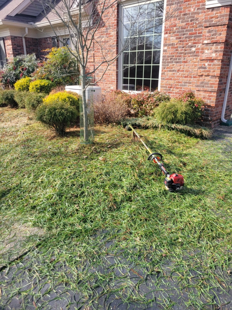 Alberto Alavez Professional Lawn Services LLC 10 by Alberto Alavez Professional Lawn Services LLC - Photo 25