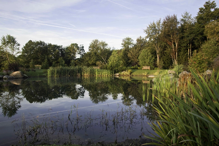 A Pond in Vermont by Julie Moir Messervy Design Studio (JMMDS) - Photo 5