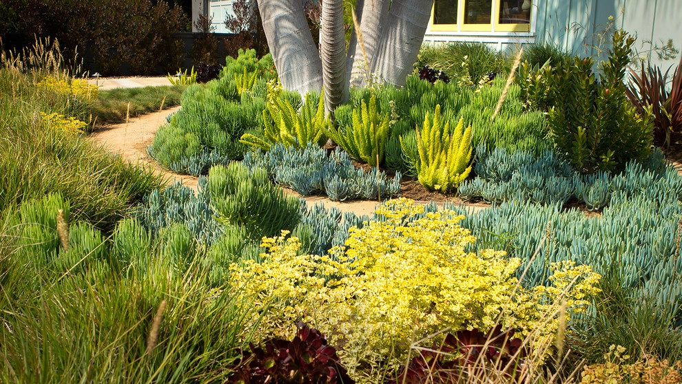 Manhatten Beach Modern Coastal Cottage by June Scott Design - Photo 5