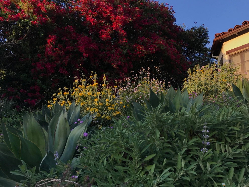 Los Feliz Mediterranean by June Scott Design - Photo 2