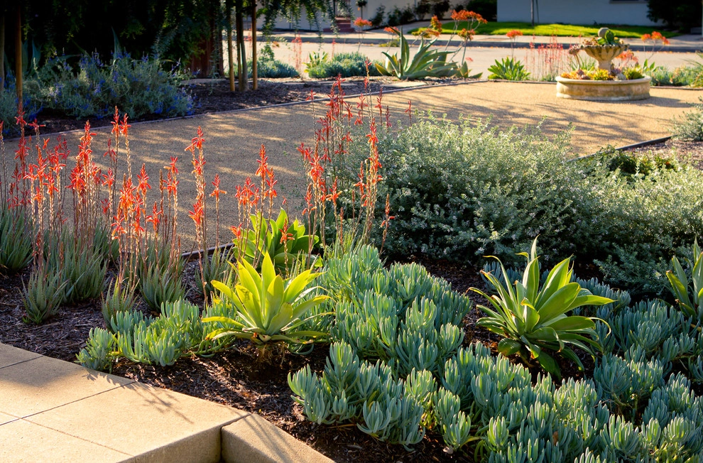 South Pasadena Spanish by June Scott Design - Photo 4