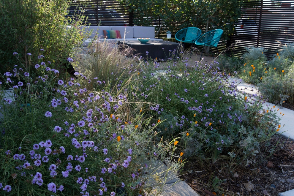 Cliff May Modern by June Scott Design - Photo 12