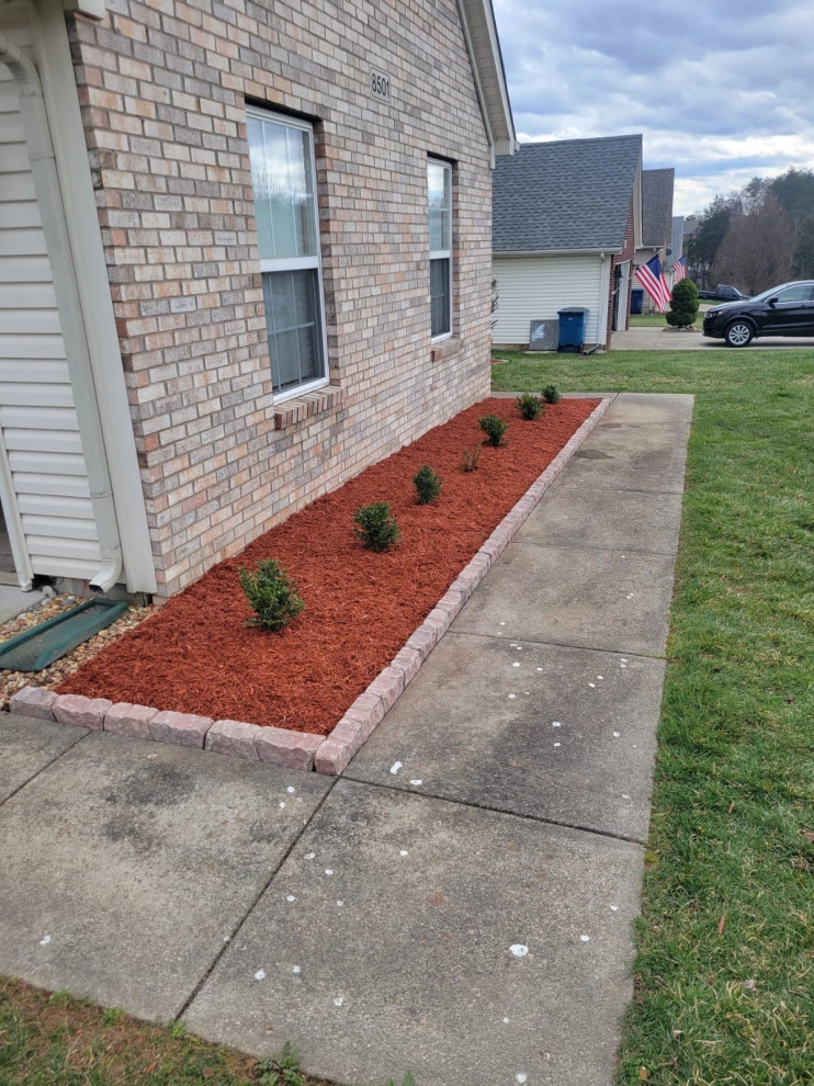 Alberto Alavez Professional Lawn Services LLC 11 by Alberto Alavez Professional Lawn Services LLC - Photo 14