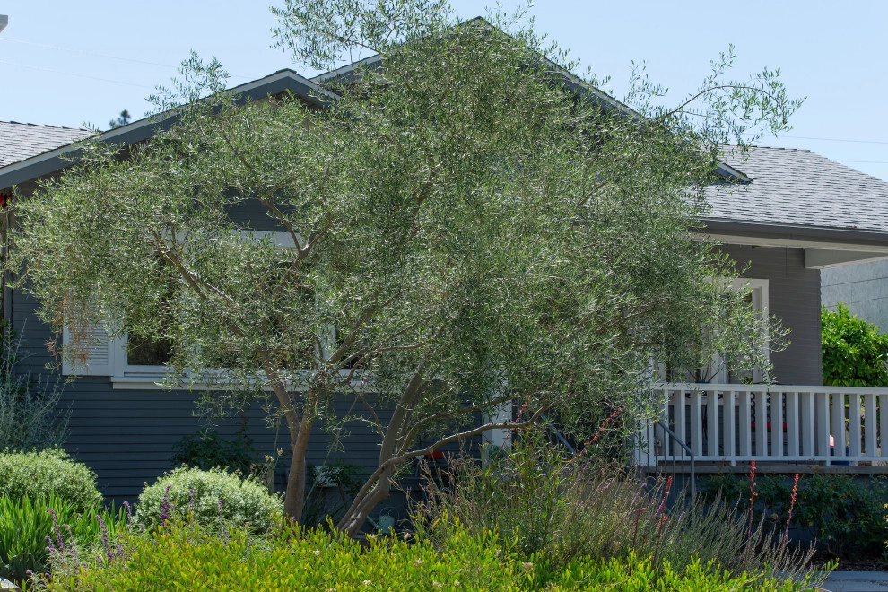 South Pasadena Transitional by June Scott Design - Photo 2