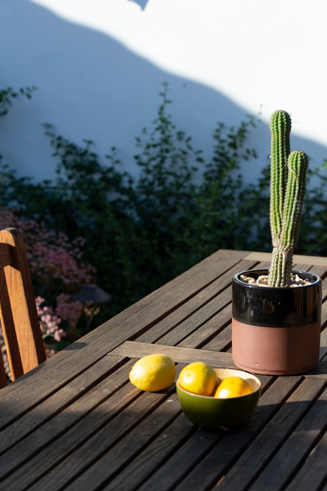 Small Oasis by June Scott Design - Photo 7