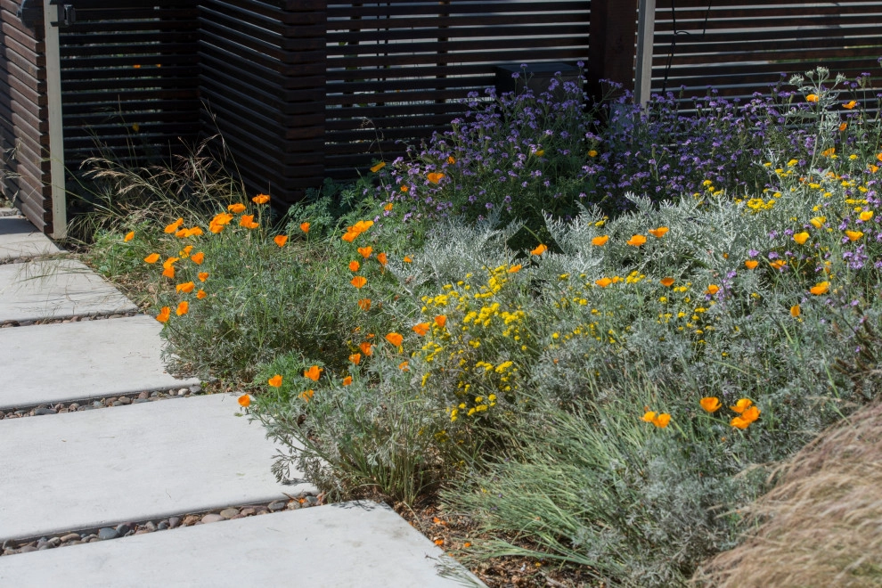 Cliff May Modern by June Scott Design - Photo 21