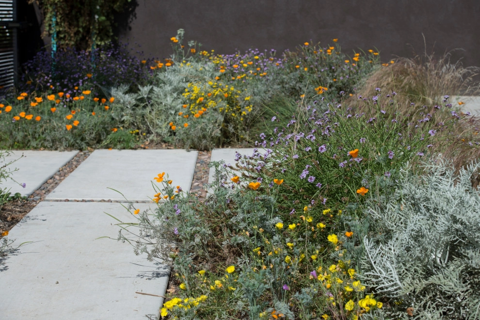 Cliff May Modern by June Scott Design - Photo 17