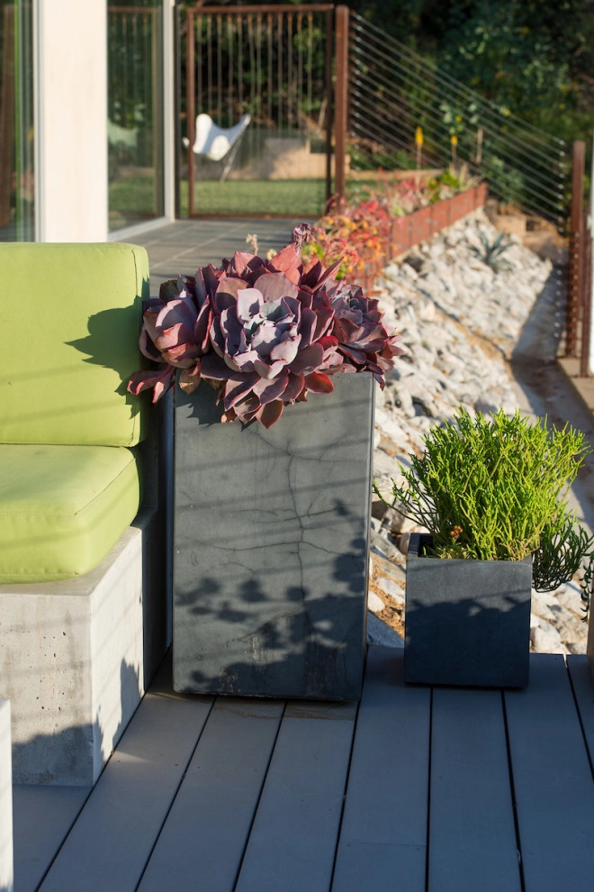 Pasadena Modern Hilltop by June Scott Design - Photo 8