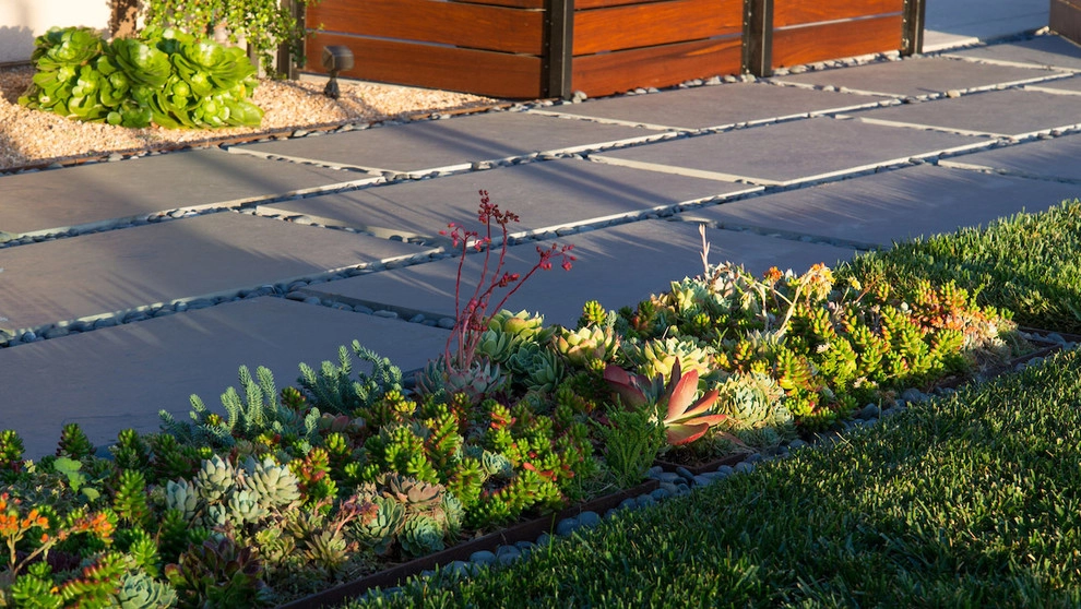 Pasadena Modern Hilltop by June Scott Design - Photo 6