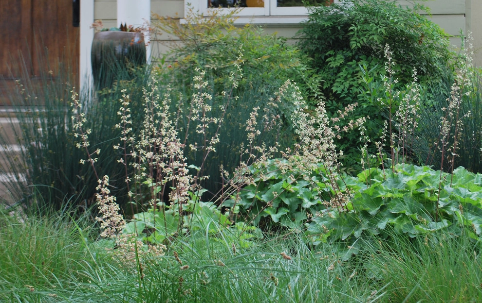 June Scott Design - Photo 3