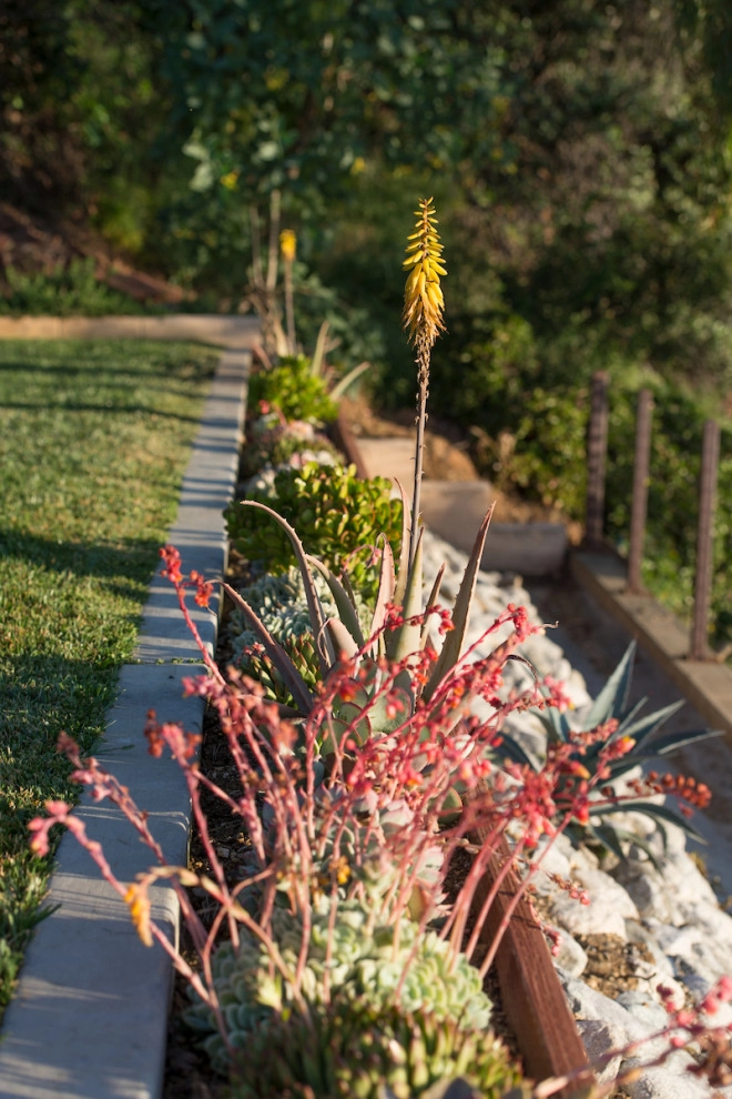 Pasadena Modern Hilltop by June Scott Design - Photo 26