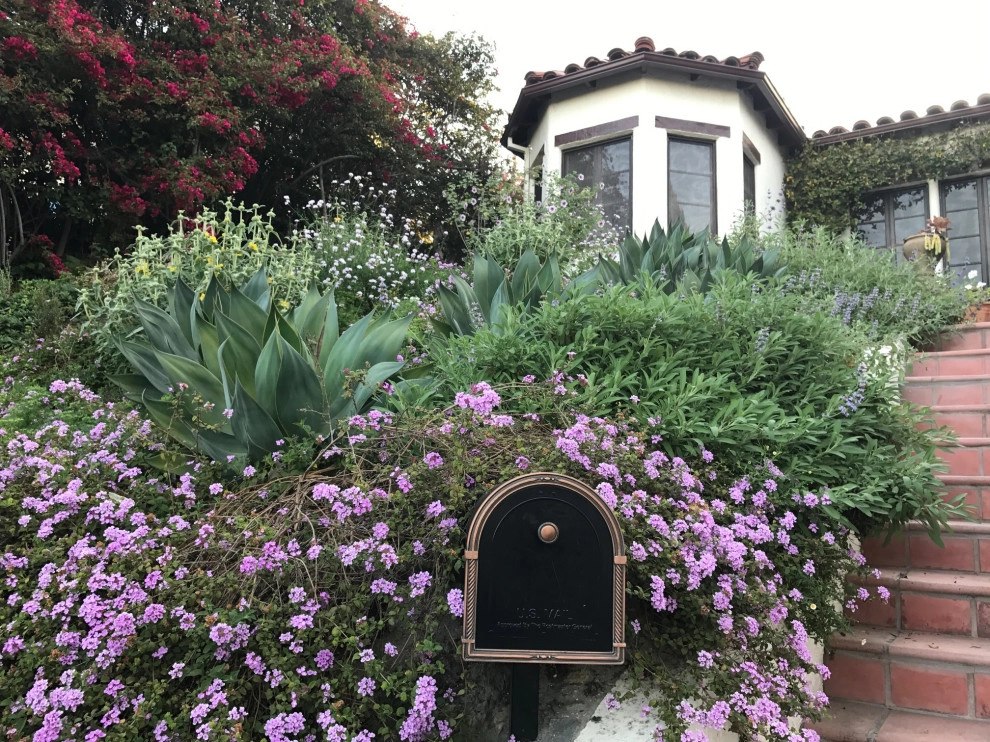 Los Feliz Mediterranean by June Scott Design - Photo 7