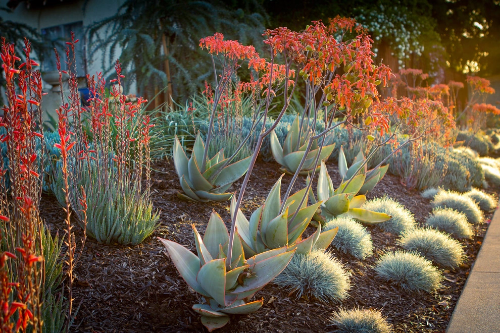 South Pasadena Spanish by June Scott Design - Photo 5