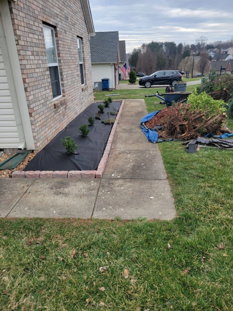 Alberto Alavez Professional Lawn Services LLC 11 by Alberto Alavez Professional Lawn Services LLC - Photo 11