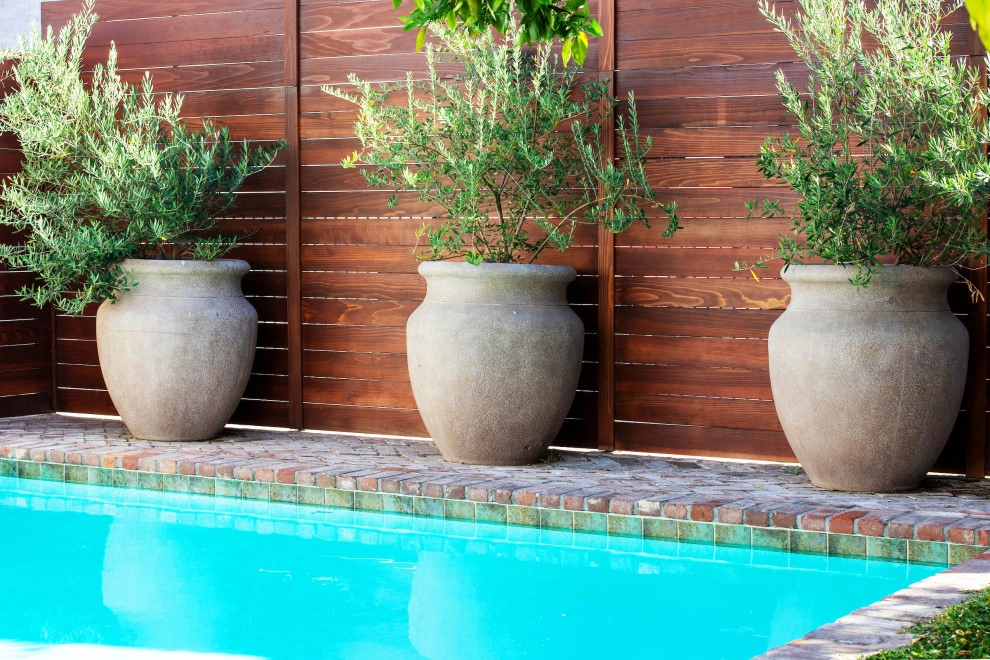 Small Oasis by June Scott Design - Photo 3