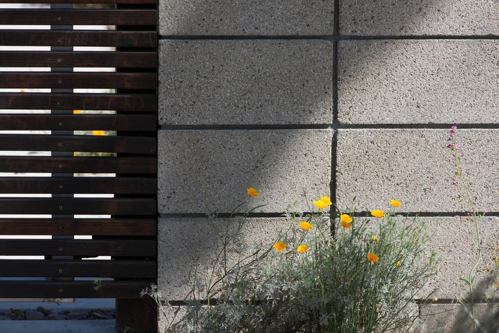 June Scott Design - Photo 10