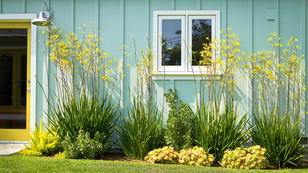 June Scott Design - Photo 7
