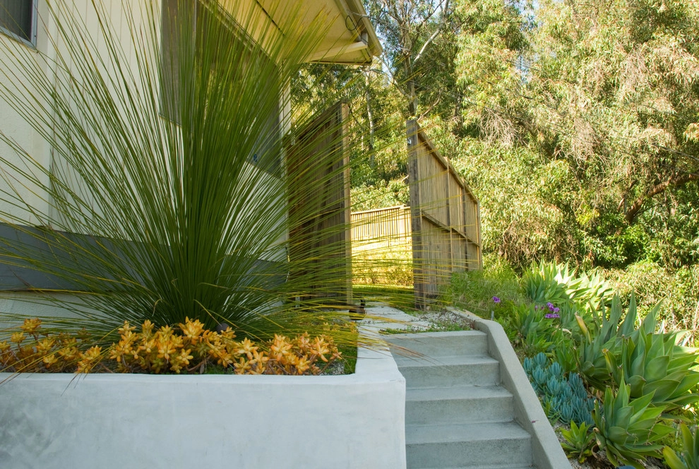 Los Angeles Hilltop by June Scott Design - Photo 4