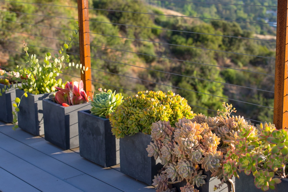 Pasadena Modern Hilltop by June Scott Design - Photo 12