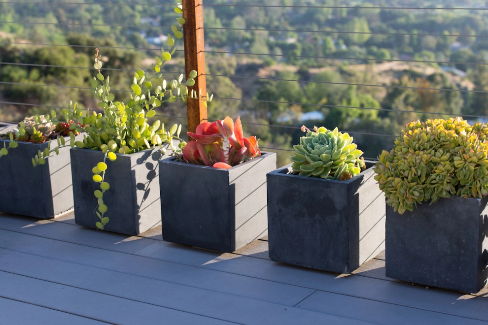 Pasadena Modern Hilltop by June Scott Design - Photo 20