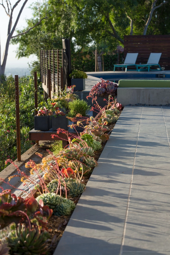 Pasadena Modern Hilltop by June Scott Design - Photo 25