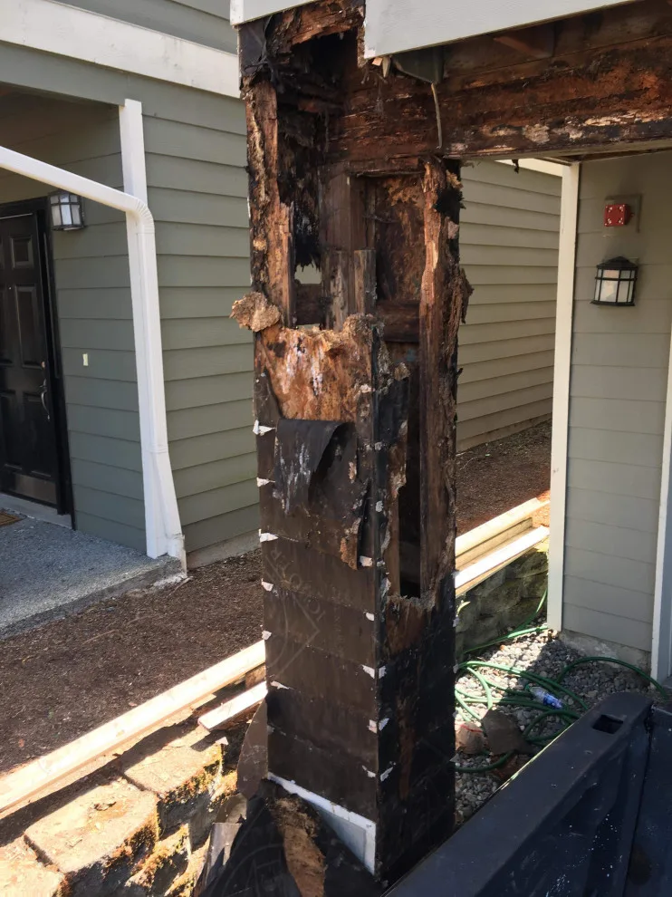 Deck Damage Restoration by Handyman Rescue Team - Photo 17