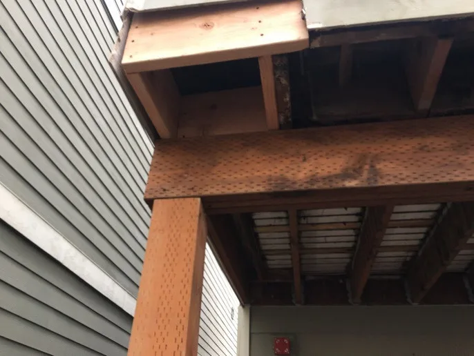 Deck Damage Restoration by Handyman Rescue Team - Photo 15