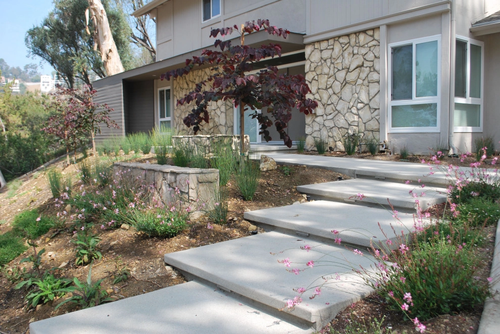 South Pasadena Hillside by June Scott Design - Photo 3