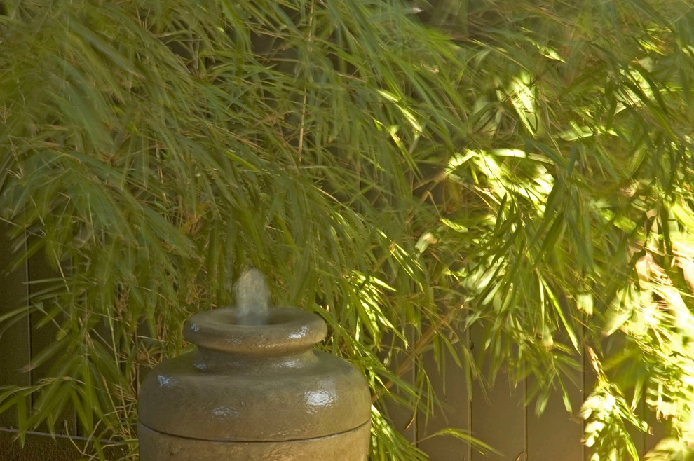 Hollywood Craftsman by June Scott Design - Photo 7