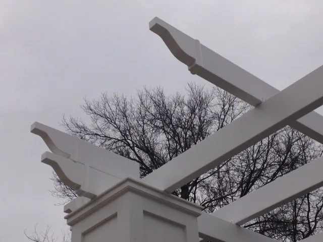 Trellis Life Ahead by Medina Exteriors & Remodeling - Photo 2