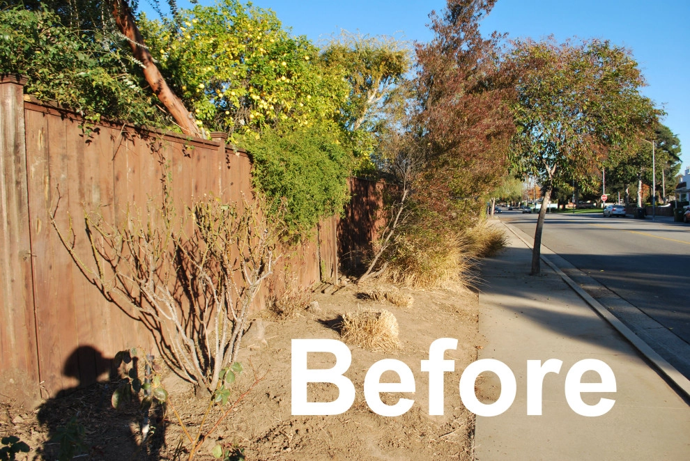 South Pasadena Spanish by June Scott Design - Photo 3