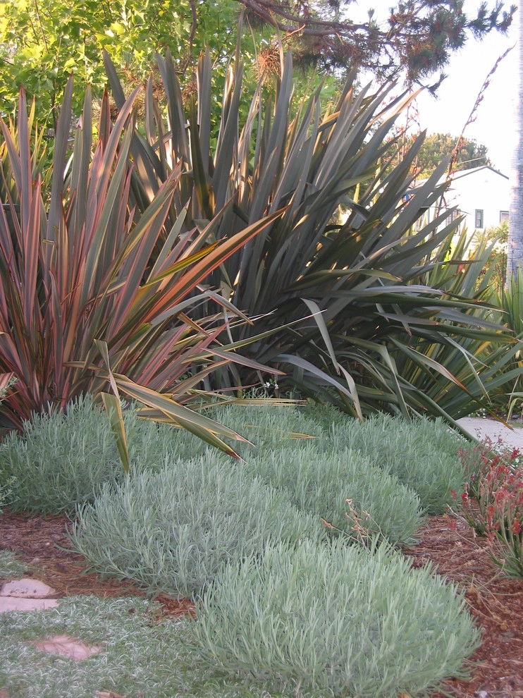 Los Angeles Neighborhood Friendly Garden by June Scott Design - Photo 3