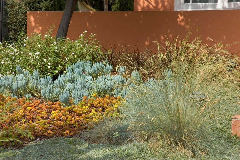 Los Angeles Neighborhood Friendly Garden by June Scott Design - Photo 5
