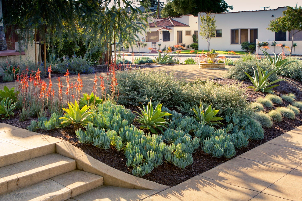 South Pasadena Spanish by June Scott Design - Photo 2
