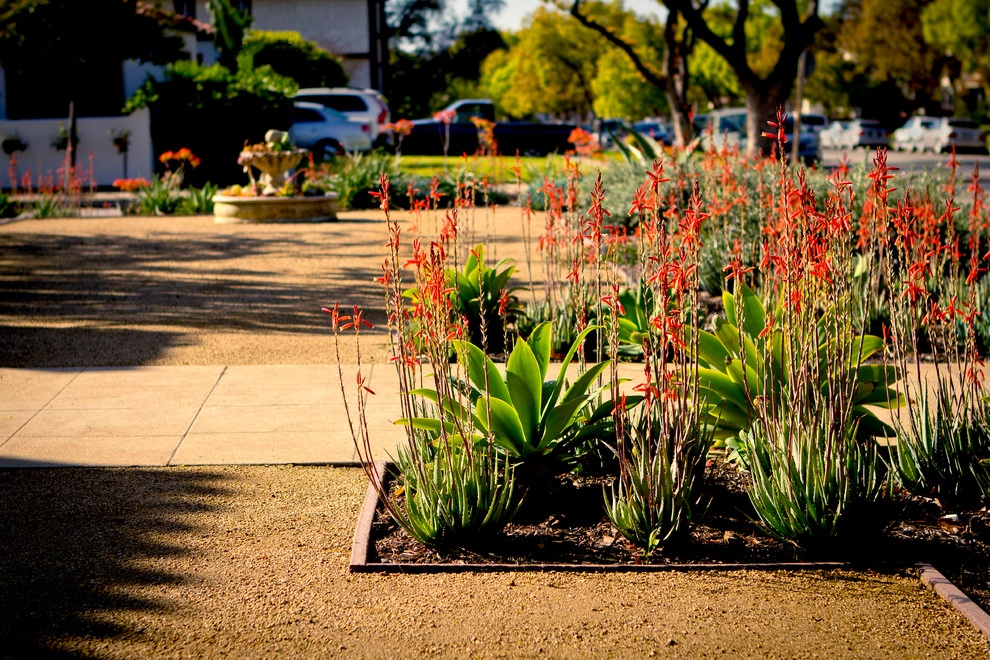 South Pasadena Spanish by June Scott Design - Photo 8