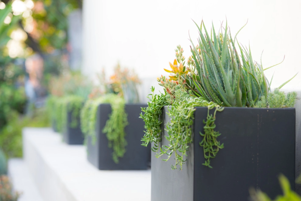 Pasadena Outdoor Living by June Scott Design - Photo 4