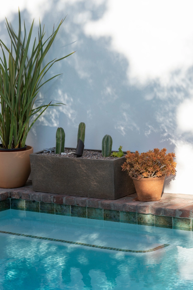 Small Oasis by June Scott Design - Photo 2