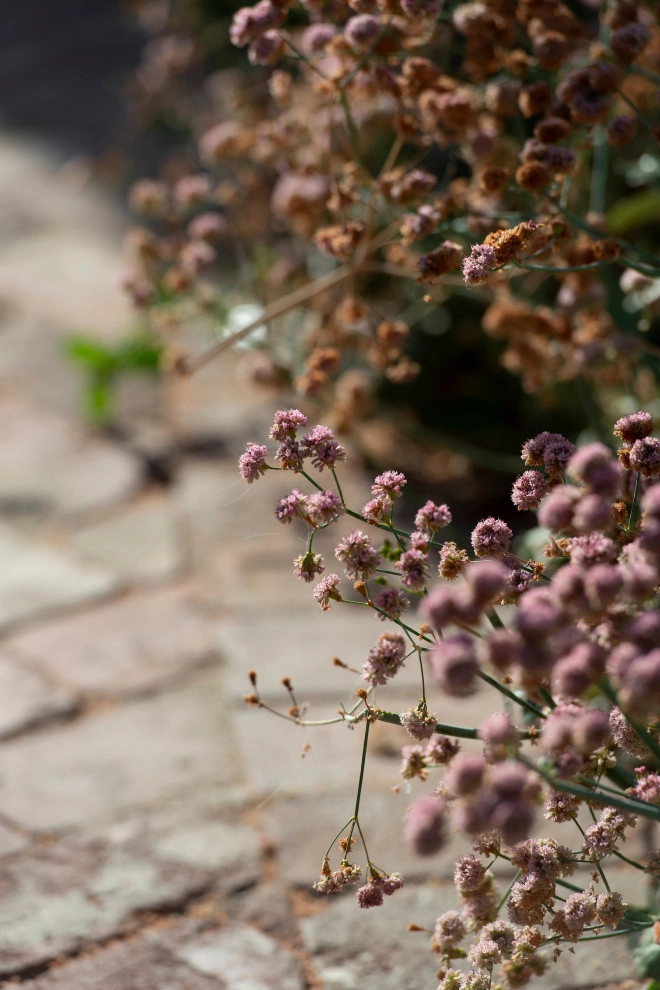 Small Oasis by June Scott Design - Photo 10