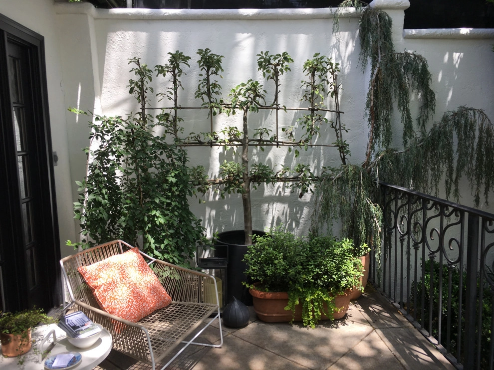 Pasadena Showcase House by June Scott Design - Photo 6