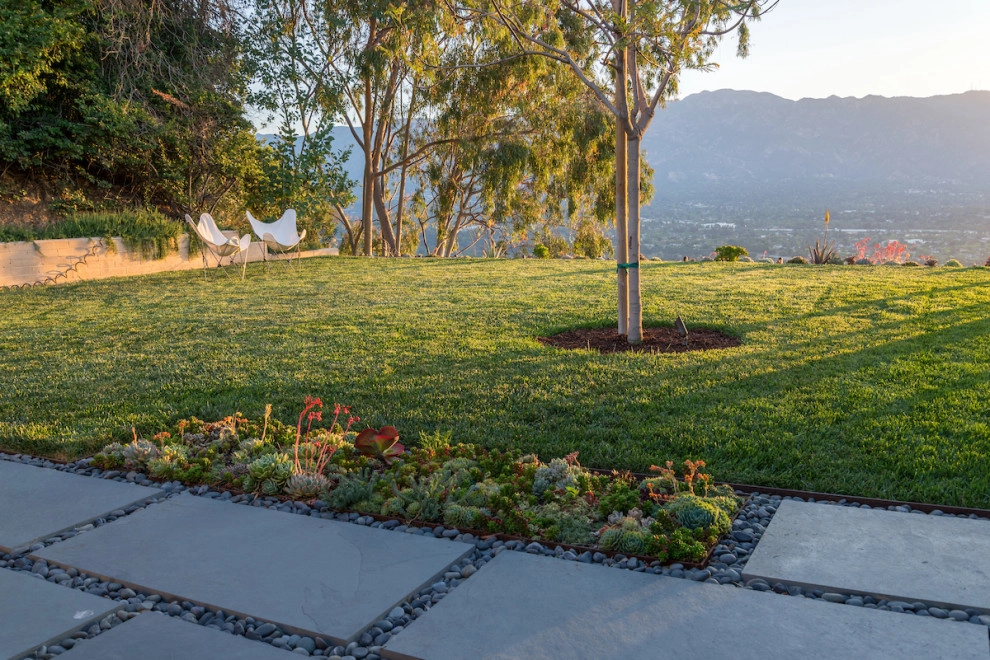 Pasadena Modern Hilltop by June Scott Design - Photo 9