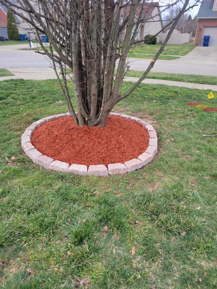 Alberto Alavez Professional Lawn Services LLC 11 by Alberto Alavez Professional Lawn Services LLC - Photo 5