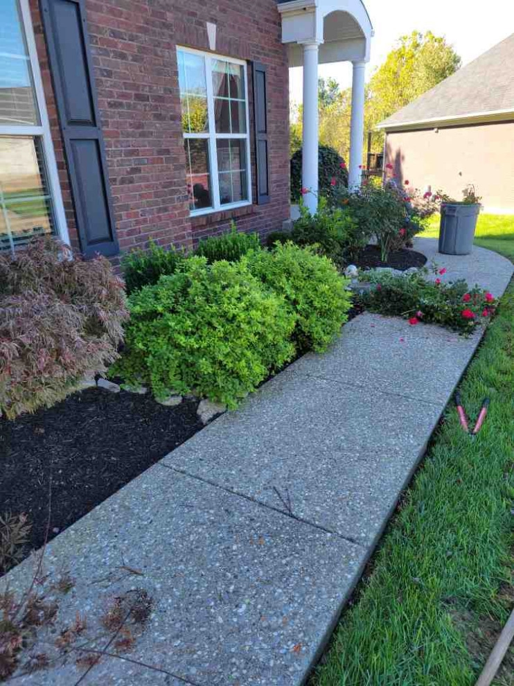 Alberto Alavez Professional Lawn Services LLC 6 by Alberto Alavez Professional Lawn Services LLC - Photo 18