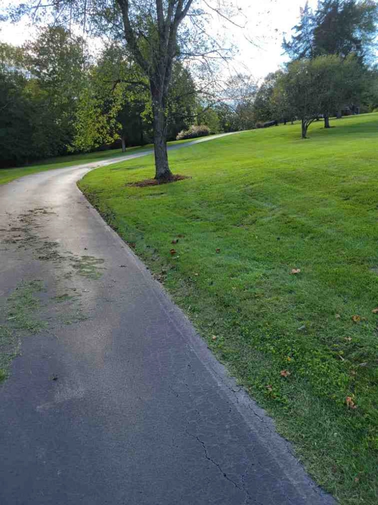 Alberto Alavez Professional Lawn Services LLC 6 by Alberto Alavez Professional Lawn Services LLC - Photo 4