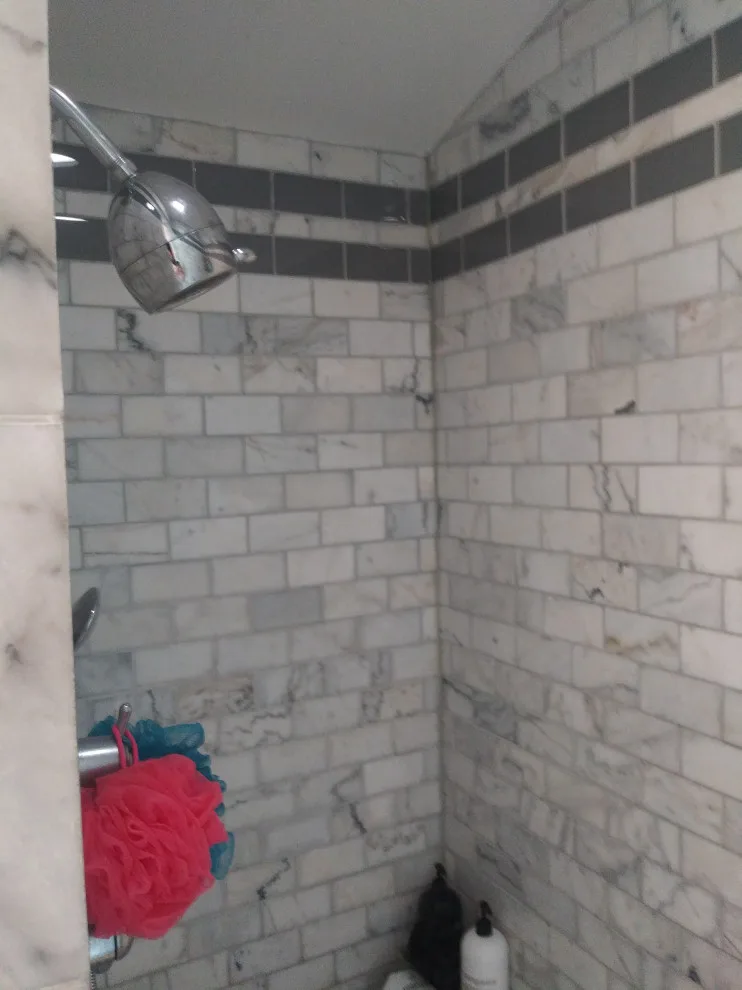Desplaines Shower Space by Premier Kitchen & Bath Remodeling - Photo 2