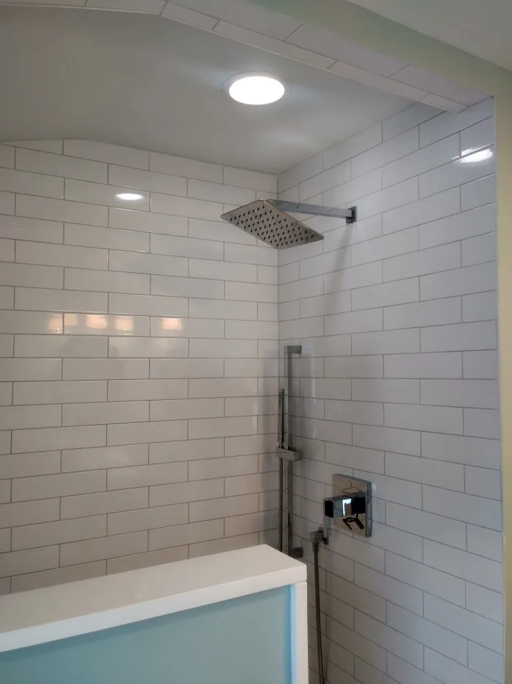 Desplaines Shower Space by Premier Kitchen & Bath Remodeling - Photo 8